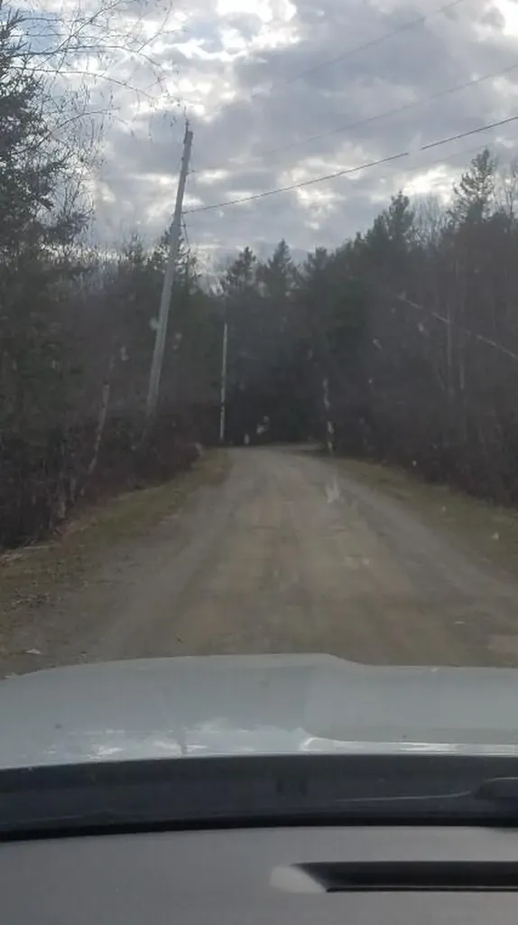 46 Albert Reed Road Orrington ME 04474