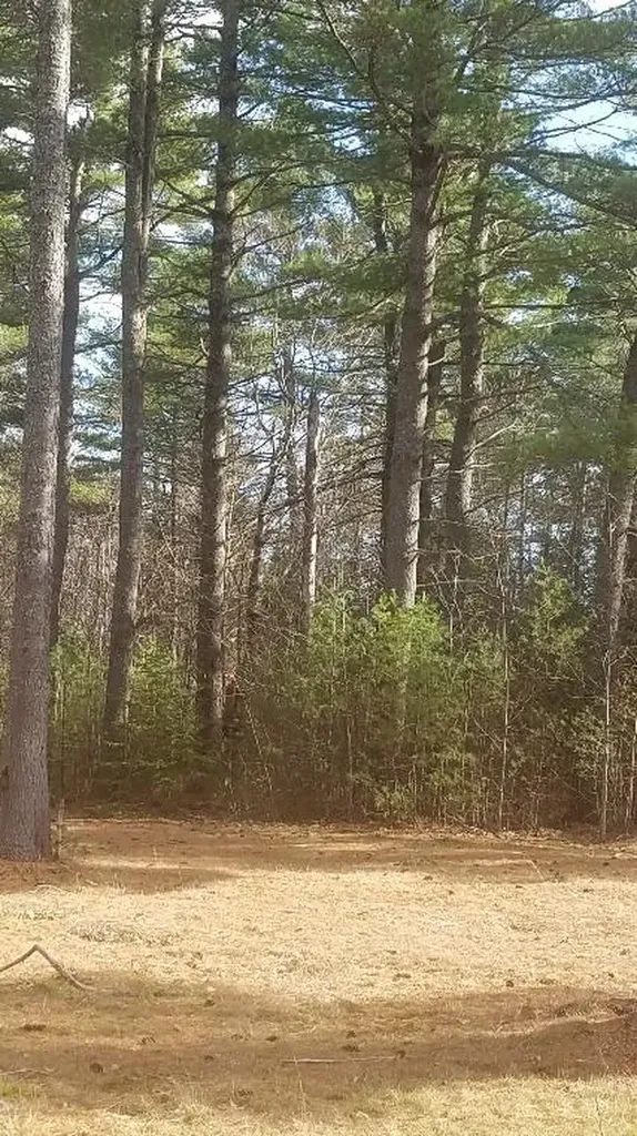 46 Albert Reed Road Orrington ME 04474