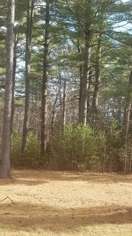 46 Albert Reed Road Orrington ME 04474