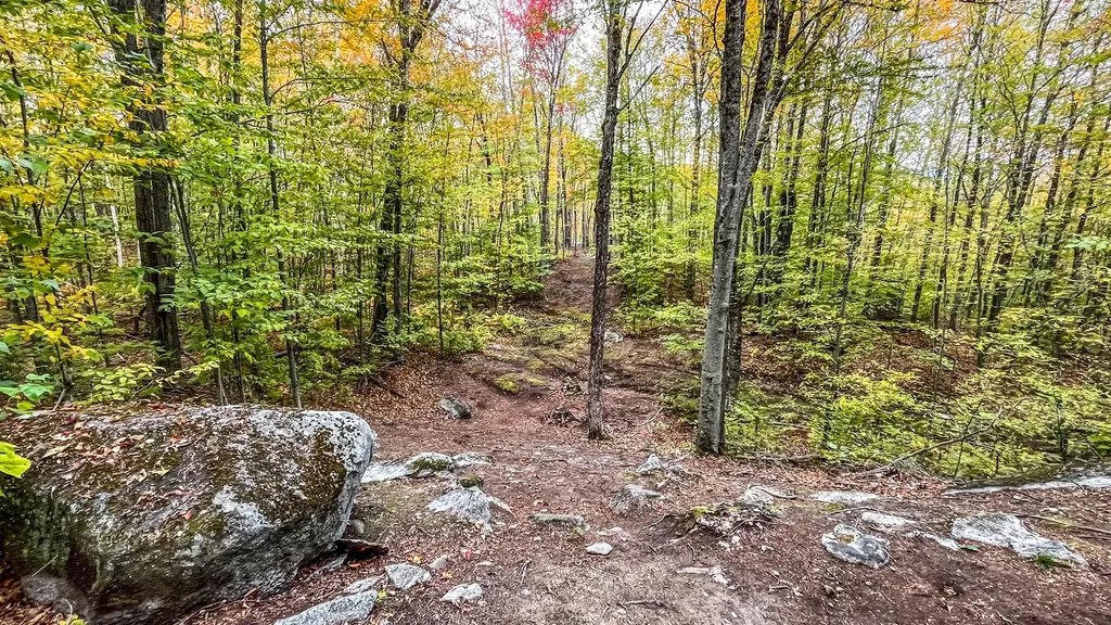 859 Maine Street Stoneham ME 04231