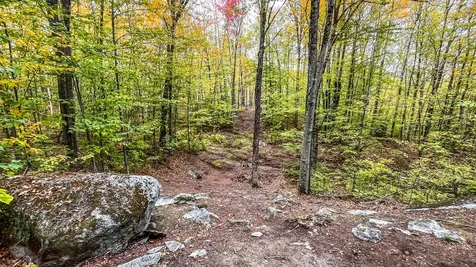 859 Maine Street Stoneham ME 04231