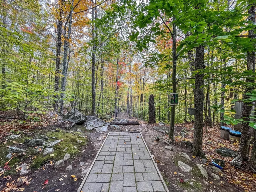 859 Maine Street Stoneham ME 04231