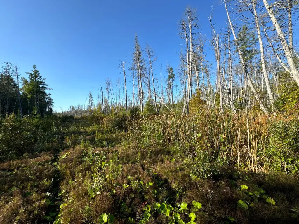 M8-L16 Grendell Road Chapman ME 04757