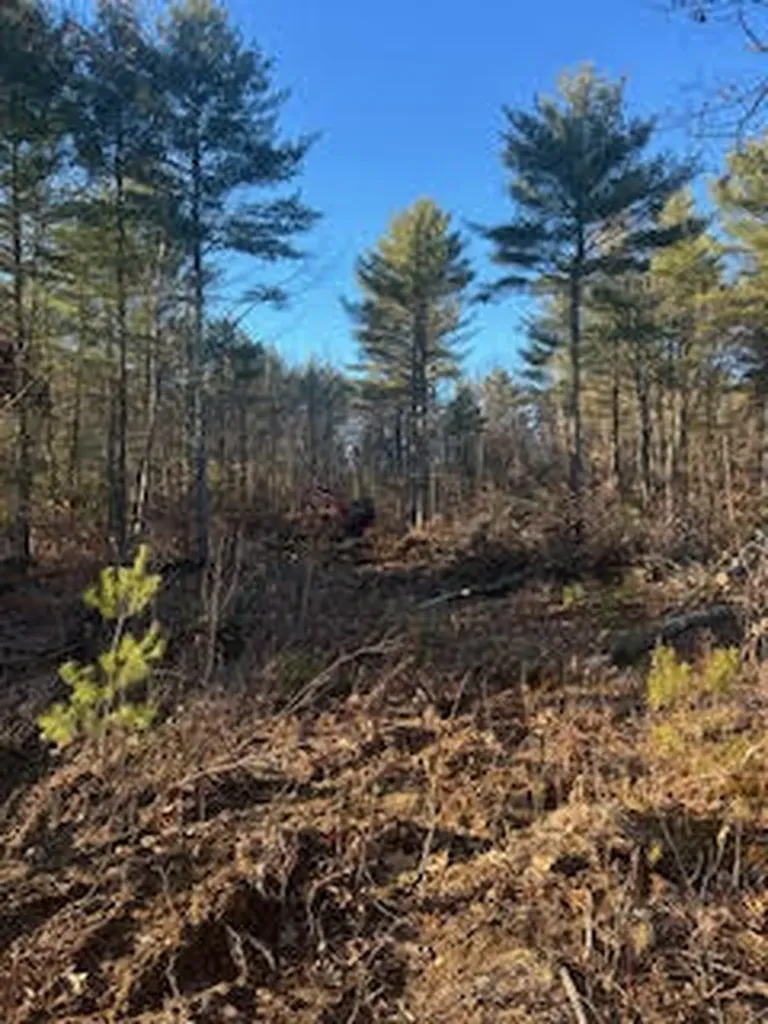 866 Parker Farm Lot B Road Buxton ME 04093