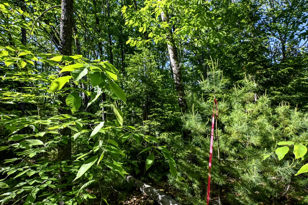 421 Middle Road Standish ME 04085