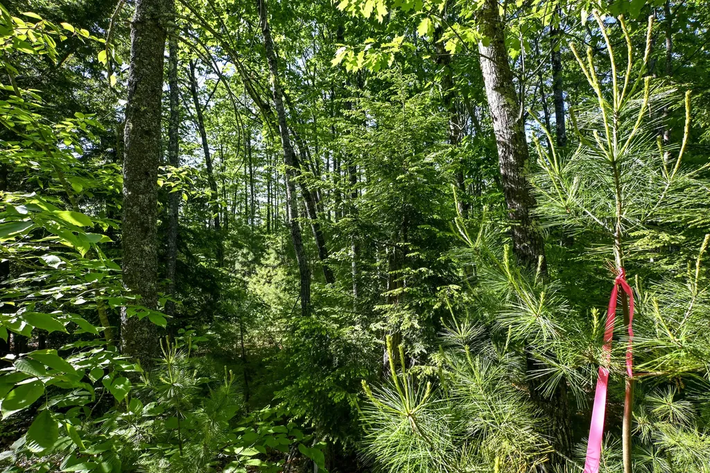 421 Middle Road Standish ME 04085
