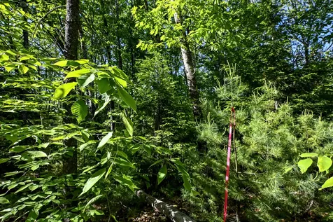 421 Middle Road Standish ME 04085
