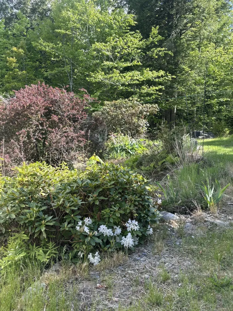 1035 Airline Road Clifton ME 04428