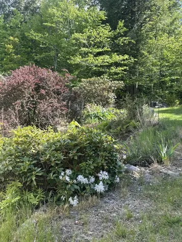 1035 Airline Road Clifton ME 04428