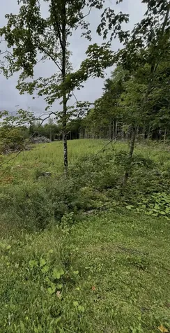 M7/L18-2,3 Ladd Road Sebec ME 04481