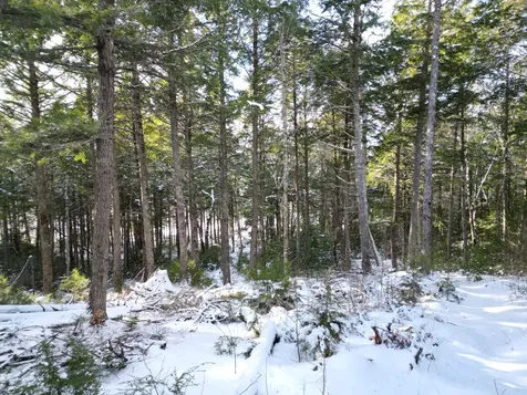 16 Crooked Pond Road Lincoln ME 04457