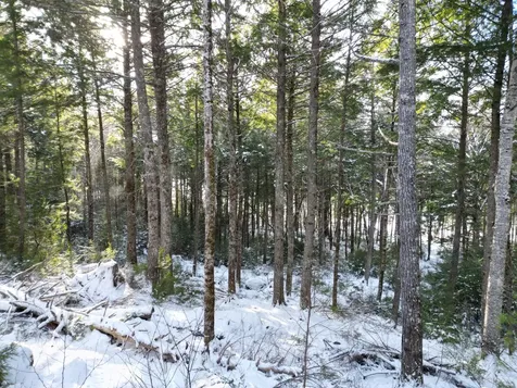 16 Crooked Pond Road Lincoln ME 04457