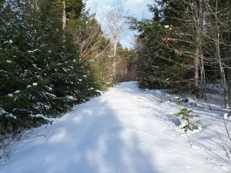16 Crooked Pond Road Lincoln ME 04457
