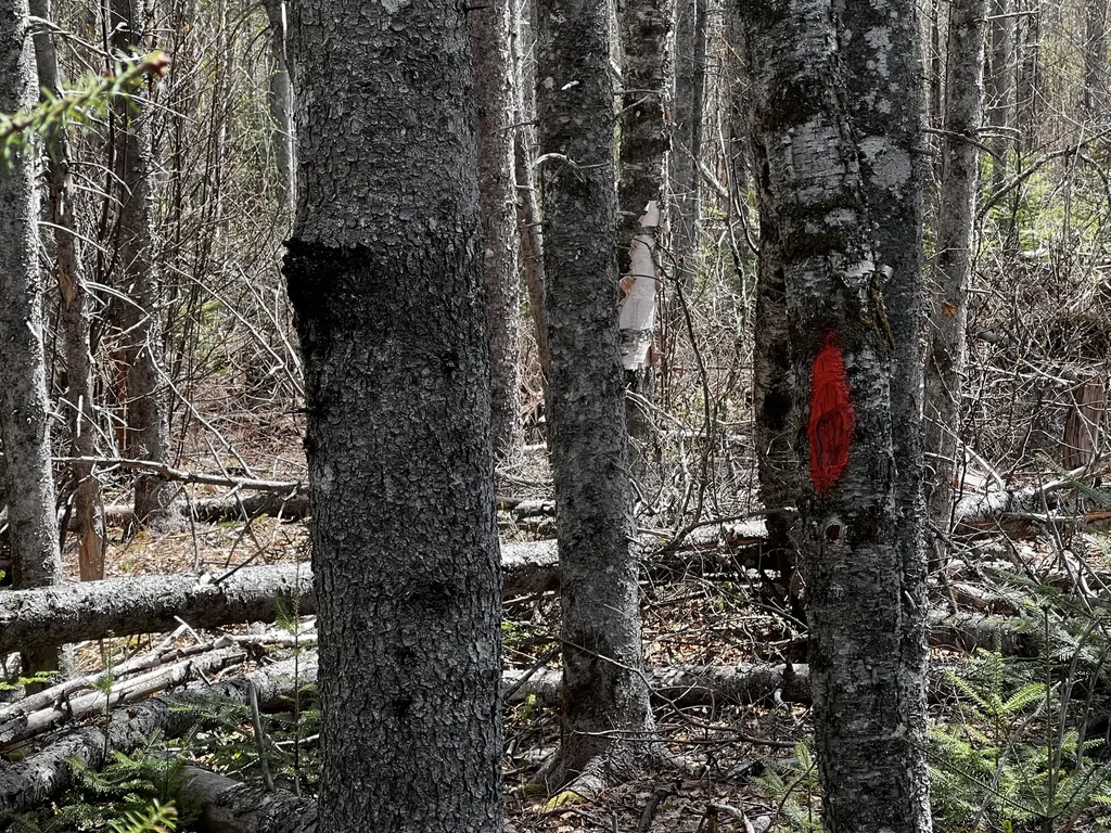 Lot 2-18 Shin Pond Road Mount Chase ME 04765