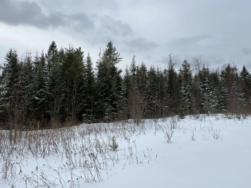 Lot 2-18 Shin Pond Road Mount Chase ME 04765