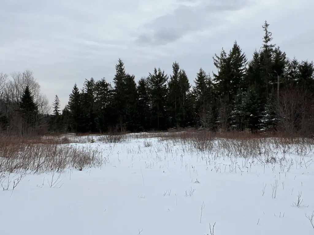 Lot 2-18 Shin Pond Road Mount Chase ME 04765