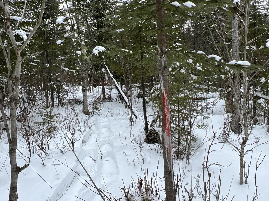 Lot 2-18 Shin Pond Road Mount Chase ME 04765