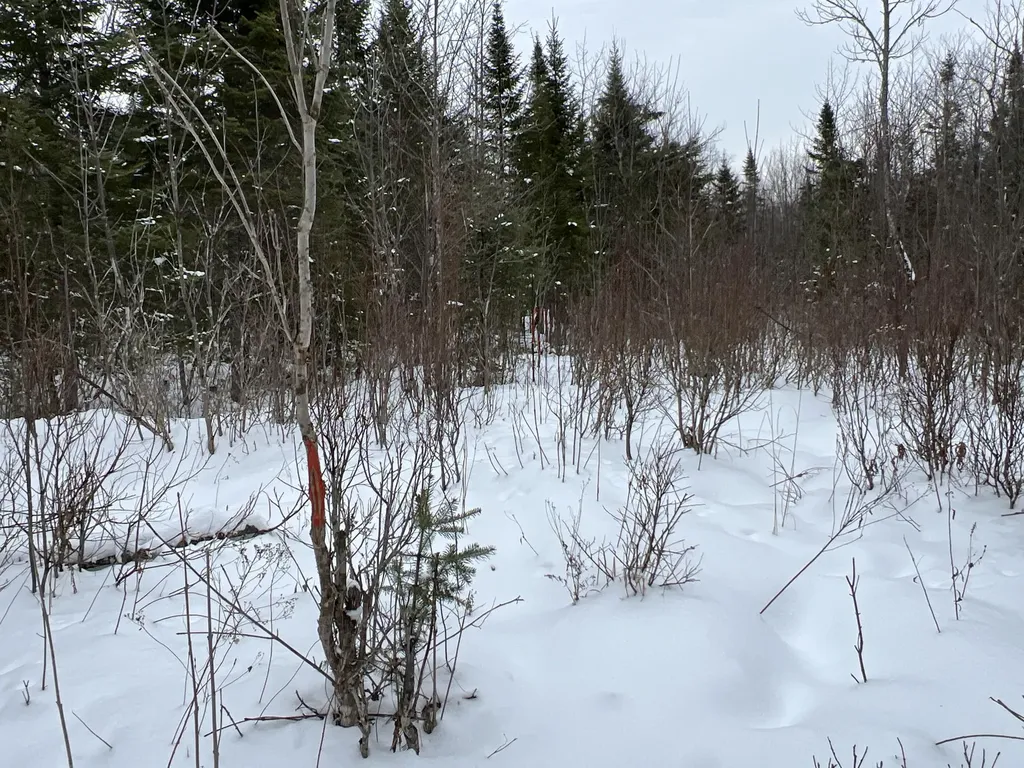 Lot 2-18 Shin Pond Road Mount Chase ME 04765