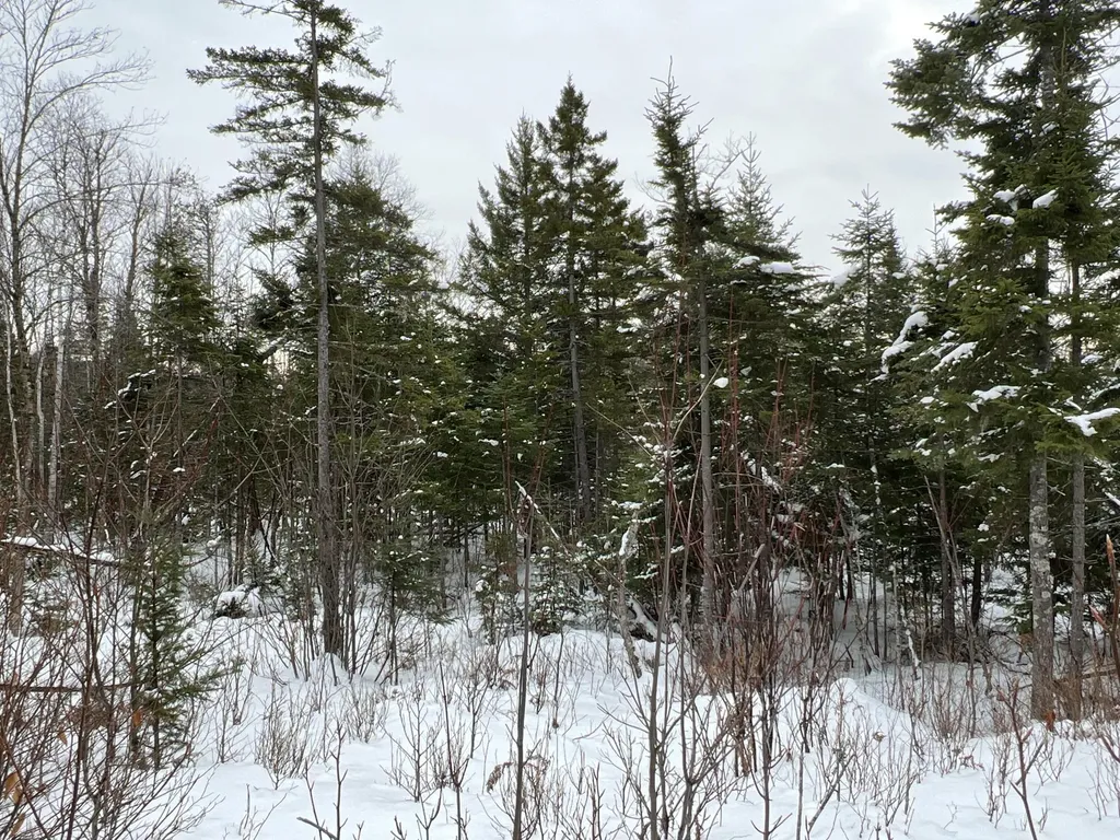 Lot 2-18 Shin Pond Road Mount Chase ME 04765