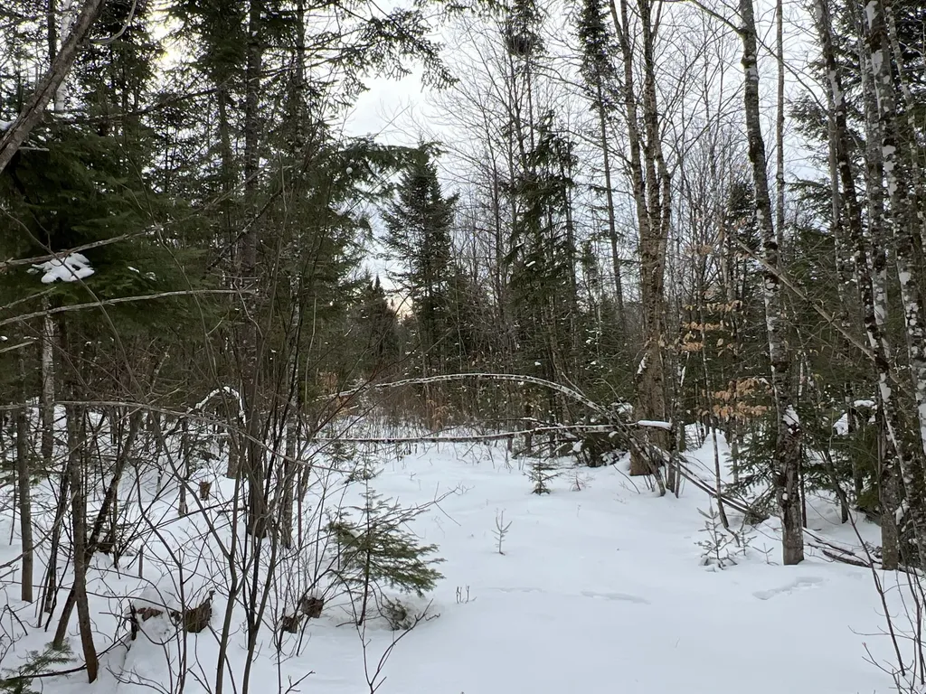 Lot 2-18 Shin Pond Road Mount Chase ME 04765