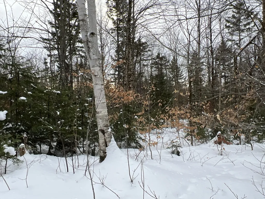 Lot 2-18 Shin Pond Road Mount Chase ME 04765