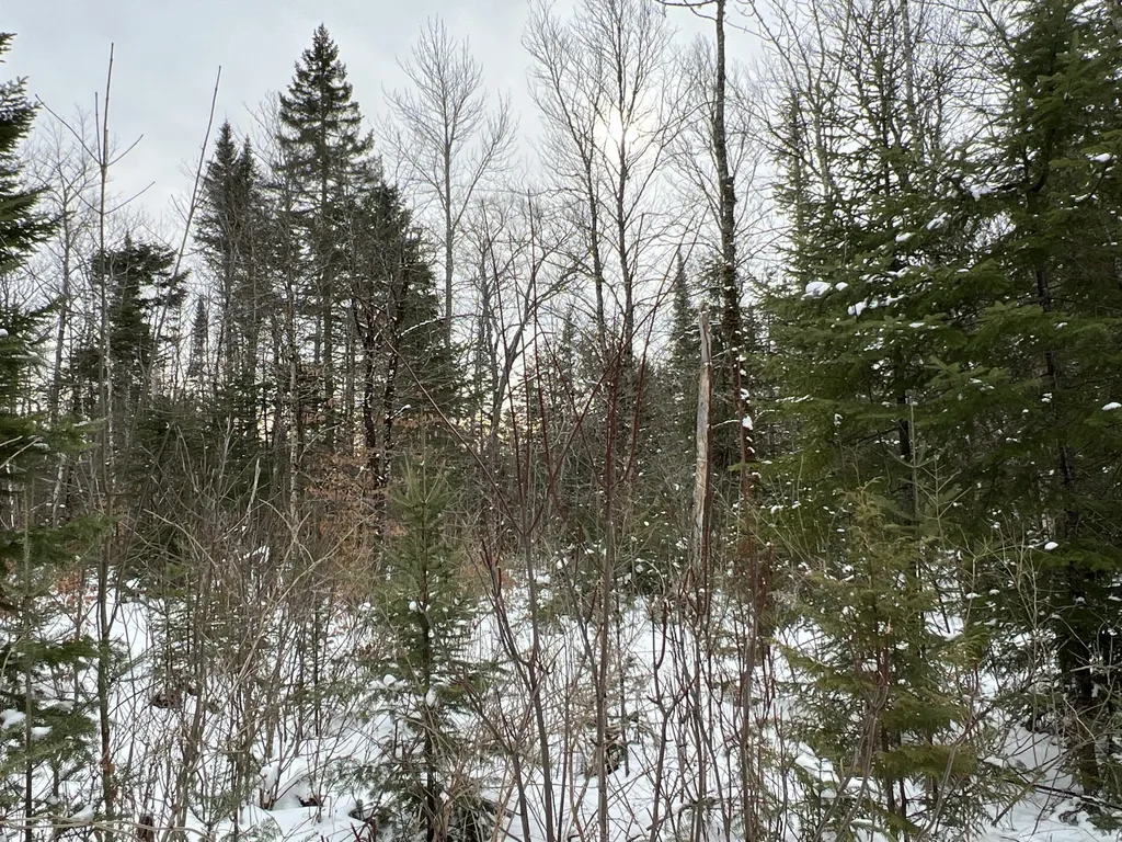 Lot 2-18 Shin Pond Road Mount Chase ME 04765