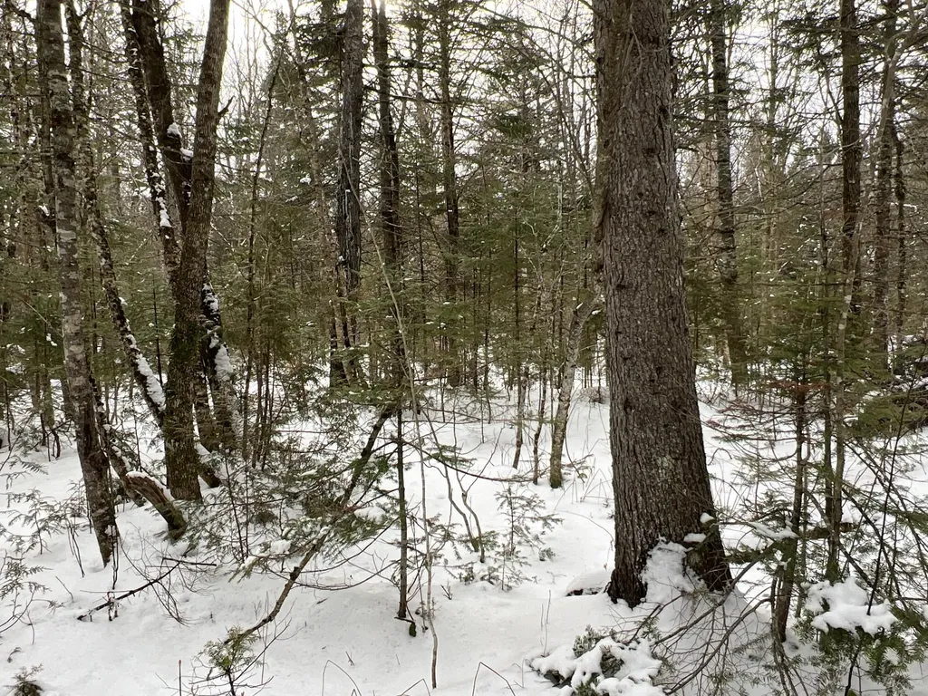 Lot 2-18 Shin Pond Road Mount Chase ME 04765