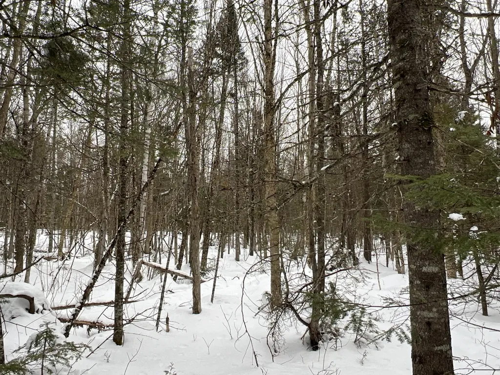 Lot 2-18 Shin Pond Road Mount Chase ME 04765