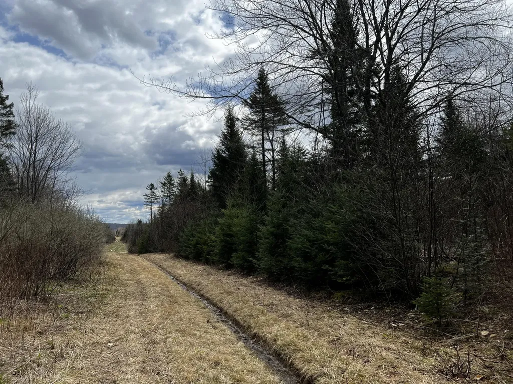 Lot 2-18 Shin Pond Road Mount Chase ME 04765