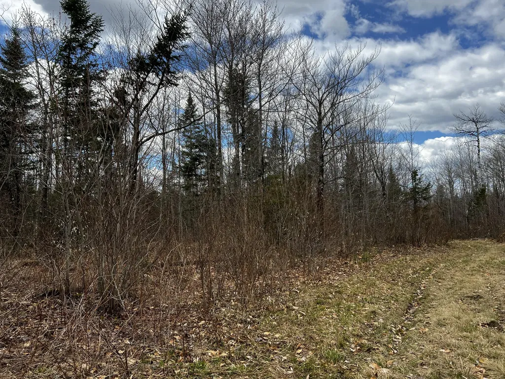 Lot 2-18 Shin Pond Road Mount Chase ME 04765