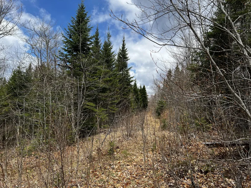 Lot 2-18 Shin Pond Road Mount Chase ME 04765