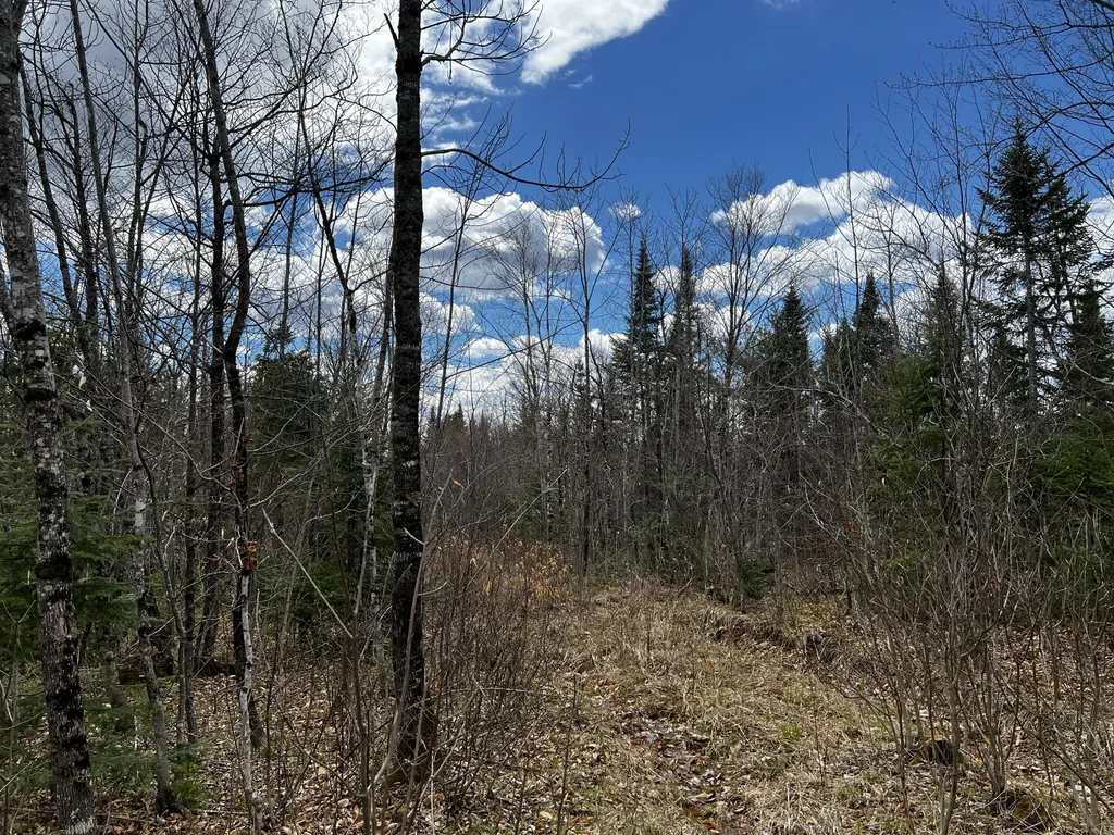 Lot 2-18 Shin Pond Road Mount Chase ME 04765