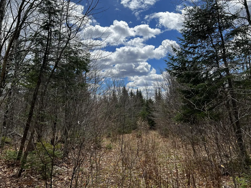 Lot 2-18 Shin Pond Road Mount Chase ME 04765