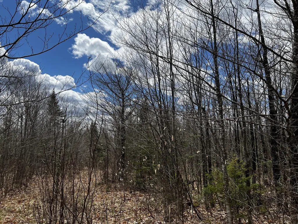 Lot 2-18 Shin Pond Road Mount Chase ME 04765