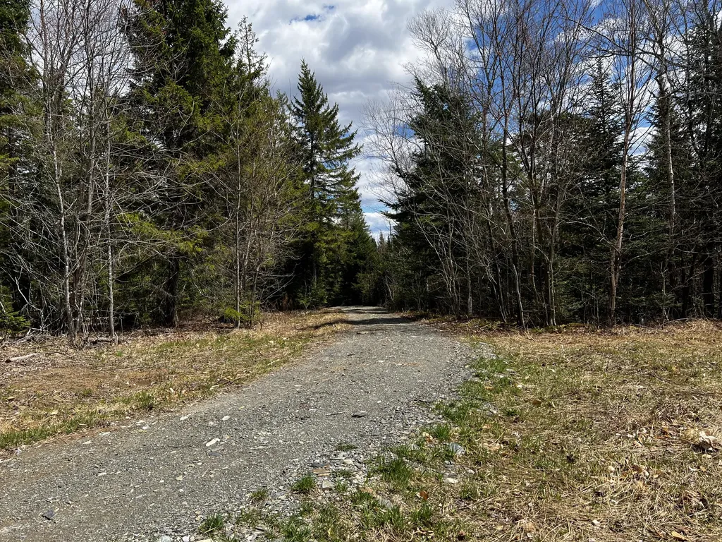Lot 2-18 Shin Pond Road Mount Chase ME 04765