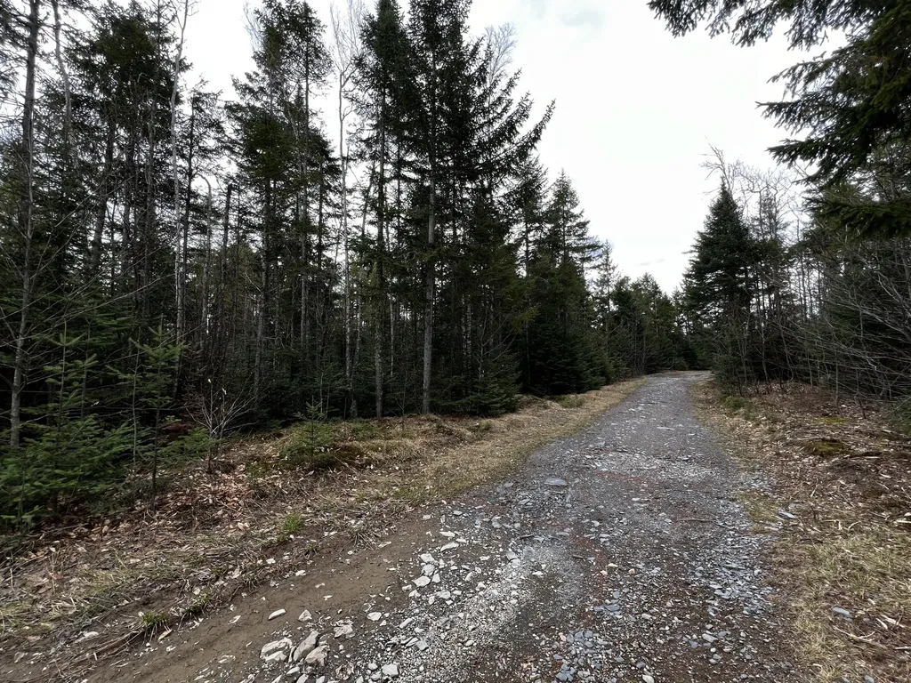 Lot 2-18 Shin Pond Road Mount Chase ME 04765