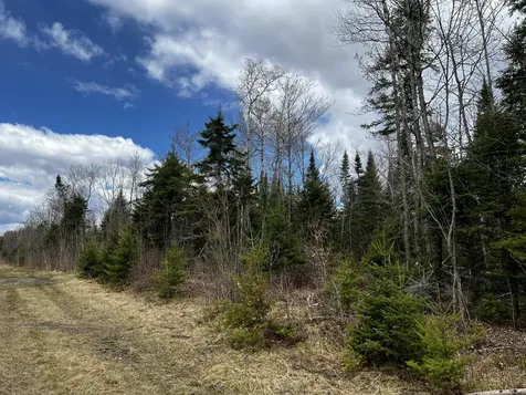 Lot 2-18 Shin Pond Road Mount Chase ME 04765