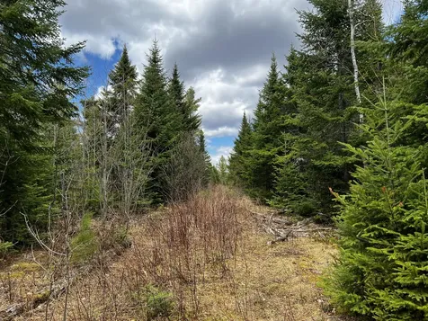 Lot 2-18 Shin Pond Road Mount Chase ME 04765