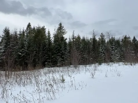 Lot 2-18 Shin Pond Road Mount Chase ME 04765