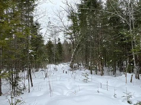 Lot 2-18 Shin Pond Road Mount Chase ME 04765