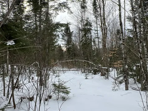 Lot 2-18 Shin Pond Road Mount Chase ME 04765