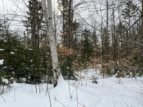 Lot 2-18 Shin Pond Road Mount Chase ME 04765