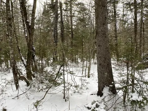 Lot 2-18 Shin Pond Road Mount Chase ME 04765