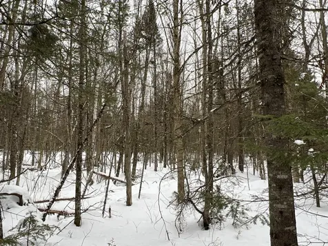 Lot 2-18 Shin Pond Road Mount Chase ME 04765