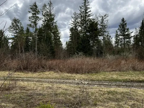 Lot 2-18 Shin Pond Road Mount Chase ME 04765
