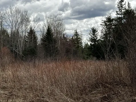 Lot 2-18 Shin Pond Road Mount Chase ME 04765