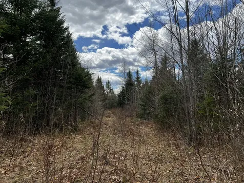 Lot 2-18 Shin Pond Road Mount Chase ME 04765
