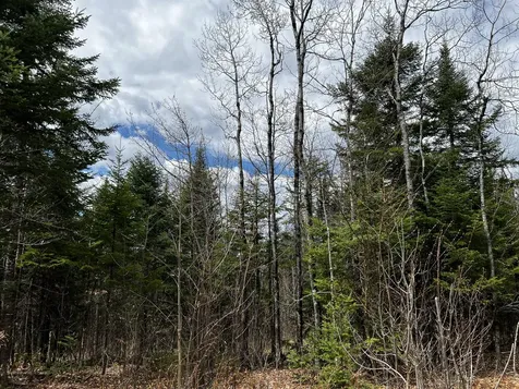 Lot 2-18 Shin Pond Road Mount Chase ME 04765