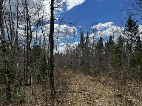 Lot 2-18 Shin Pond Road Mount Chase ME 04765