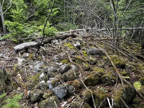 Lot 2-18 Shin Pond Road Mount Chase ME 04765